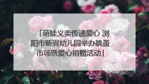 萌娃义卖传递爱心 浏阳市新翼幼儿园举办跳蚤市场暨爱心捐赠活动