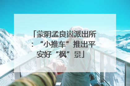 蒙阴孟良崮派出所：“小推车”推出平安好“枫”景