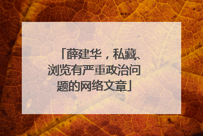 薛建华，私藏、浏览有严重政治问题的网络文章