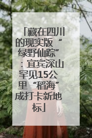 藏在四川的现实版“绿野仙踪”：宜宾深山罕见15公里“稻海”成打卡新地标