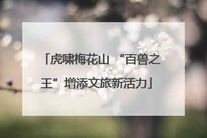 虎啸梅花山 “百兽之王”增添文旅新活力