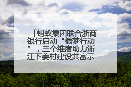 蚂蚁集团联合浙商银行启动“栀梦行动”，三个维度助力浙江下姜村建设共富示范区示范点