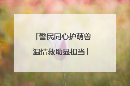警民同心护萌兽 温情救助显担当