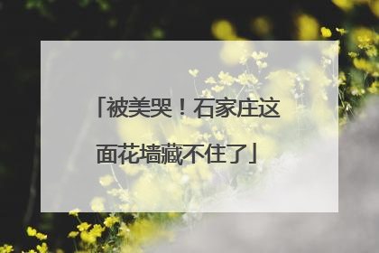 被美哭！石家庄这面花墙藏不住了