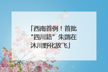 西南首例！首批“四川籍”朱鹮在沐川野化放飞