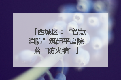 西城区：“智慧消防”筑起平房院落“防火墙”