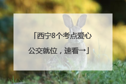 西宁8个考点爱心公交就位，速看→