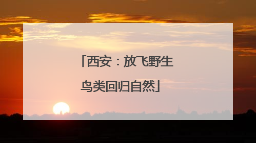 西安：放飞野生鸟类回归自然