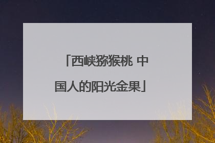 西峡猕猴桃 中国人的阳光金果
