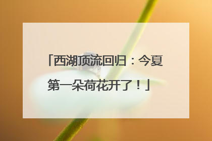 西湖顶流回归：今夏第一朵荷花开了！