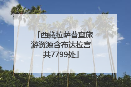 西藏拉萨普查旅游资源含布达拉宫共7799处