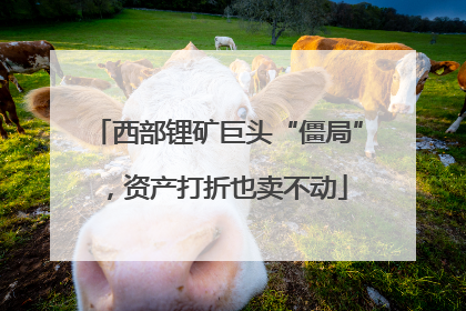 西部锂矿巨头“僵局”，资产打折也卖不动
