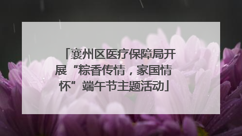 襄州区医疗保障局开展“粽香传情，家国情怀”端午节主题活动