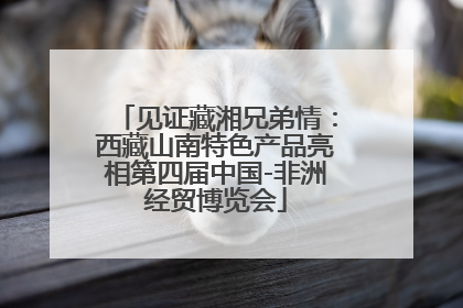 见证藏湘兄弟情：西藏山南特色产品亮相第四届中国-非洲经贸博览会