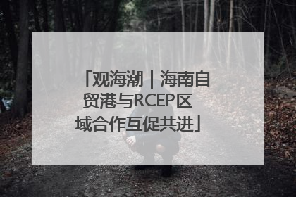 观海潮｜海南自贸港与RCEP区域合作互促共进