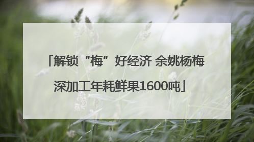 解锁“梅”好经济 余姚杨梅深加工年耗鲜果1600吨