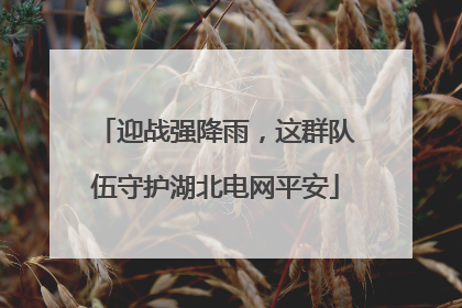迎战强降雨，这群队伍守护湖北电网平安