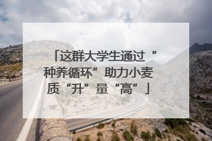 这群大学生通过“种养循环”助力小麦质“升”量“高”
