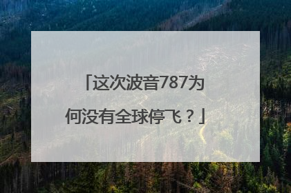 这次波音787为何没有全球停飞？