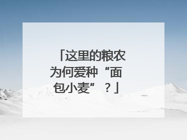 这里的粮农为何爱种“面包小麦”？