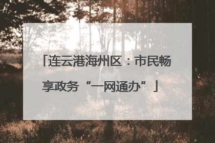 连云港海州区：市民畅享政务“一网通办”