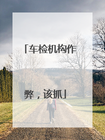 车检机构作弊，该抓