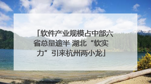 软件产业规模占中部六省总量逾半 湖北“软实力”引来杭州两小龙