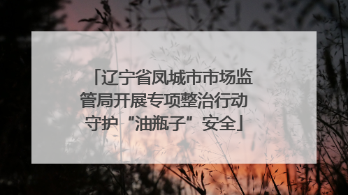 辽宁省凤城市市场监管局开展专项整治行动守护“油瓶子”安全