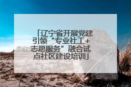 辽宁省开展党建引领“专业社工+志愿服务”融合试点社区建设培训