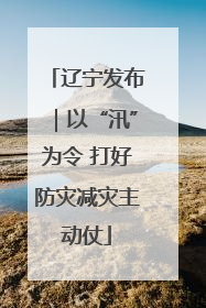 辽宁发布｜以“汛”为令 打好防灾减灾主动仗