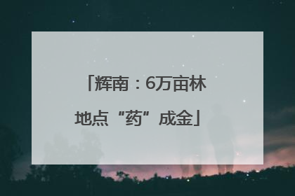 辉南：6万亩林地点“药”成金
