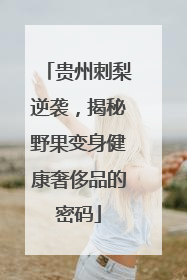 贵州刺梨逆袭，揭秘野果变身健康奢侈品的密码