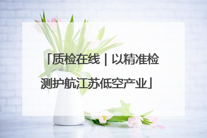 质检在线｜以精准检测护航江苏低空产业