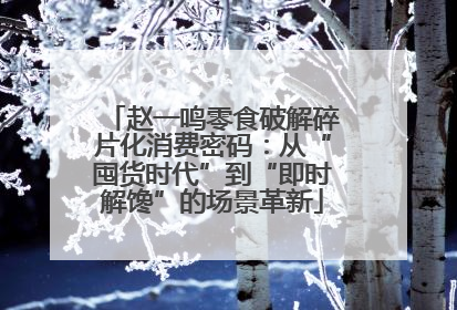 赵一鸣零食破解碎片化消费密码：从“囤货时代”到“即时解馋”的场景革新