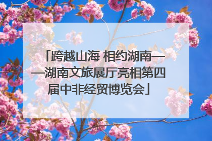 跨越山海 相约湖南——湖南文旅展厅亮相第四届中非经贸博览会