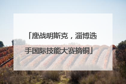 鏖战明斯克，淄博选手国际技能大赛摘铜