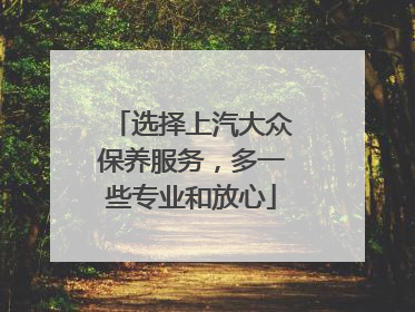 选择上汽大众保养服务，多一些专业和放心