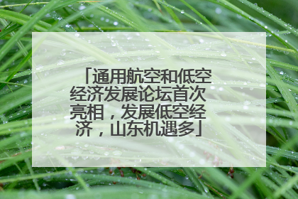 通用航空和低空经济发展论坛首次亮相，发展低空经济，山东机遇多