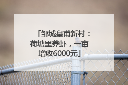 邹城皇甫新村：荷塘里养虾，一亩增收6000元