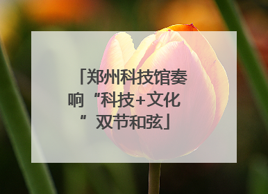 郑州科技馆奏响“科技+文化”双节和弦