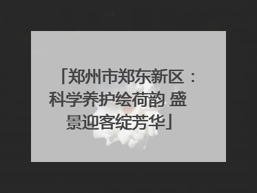 郑州市郑东新区：科学养护绘荷韵 盛景迎客绽芳华