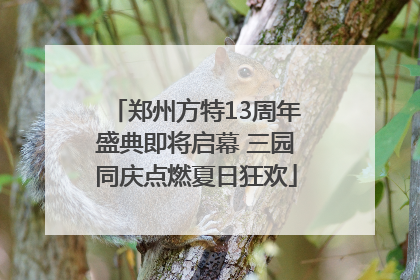 郑州方特13周年盛典即将启幕 三园同庆点燃夏日狂欢