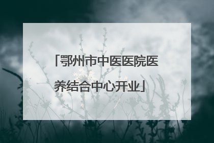 鄂州市中医医院医养结合中心开业