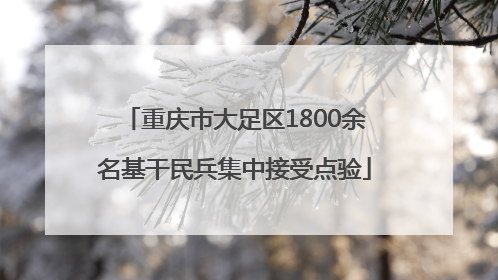 重庆市大足区1800余名基干民兵集中接受点验