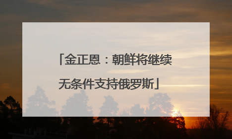 金正恩：朝鲜将继续无条件支持俄罗斯