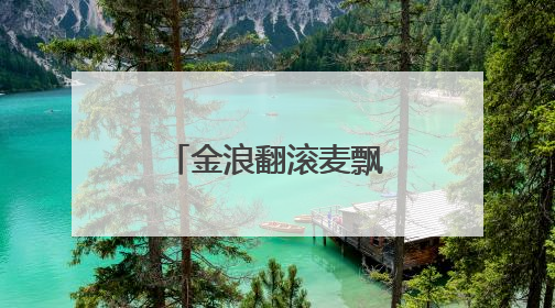 金浪翻滚麦飘香 乐至4万亩小麦抢收忙