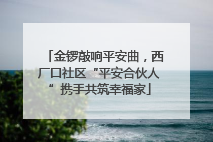 金锣敲响平安曲，西厂口社区“平安合伙人”携手共筑幸福家