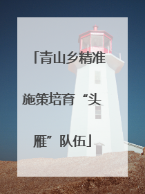 青山乡精准施策培育“头雁”队伍