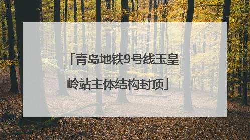 青岛地铁9号线玉皇岭站主体结构封顶
