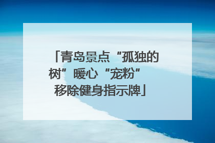 青岛景点“孤独的树”暖心“宠粉” 移除健身指示牌
